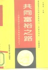 共同富裕之路  中国民族地区经济发展的实践与研讨 封面