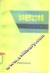 论中国劳动力市场 封面