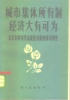 城市集体所有制经济大有可为  北京市解决劳动就业问题的情况调查 封面