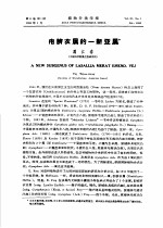 疱脐衣属的一新亚属 封面