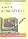 怎样开发AutoCAD R12 封面