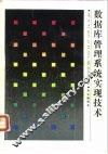 数据库管理系统实现技术 封面
