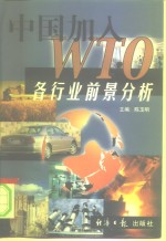中国加入WTO各行业前景分析 封面