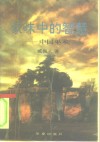 蒙昧中的智慧  中国巫术 电子书封面
