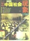 90年代中国社会现象 封面