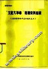 “文化大革命”时期资料选辑 封面