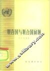 联合国与联合国问题 封面