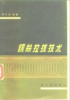 钢丝拉拔技术 封面