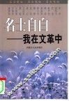 名士自白  我在文革中  上 封面
