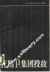 汪精卫集团投敌 封面