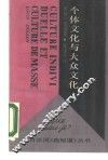 个体文化与大众文化 封面