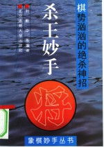 杀王妙手  棋势汹汹的绝杀神招 封面