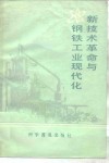 新技术革命与钢铁工业现代化 封面