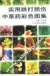 实用跌打损伤中草药彩色图集 封面