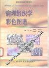 病理组织学彩色图谱 封面