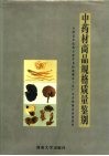 中药材商品规格质量鉴别  全国老中医药专家学术经验继承工作广东中药继承成果著作 封面