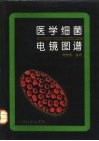 医学细菌电镜图谱 封面