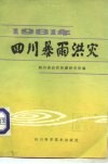 1981年四川暴雨洪灾 封面
