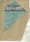 切面超声心动图学 封面