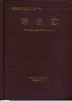 黟县志 封面