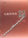心血管外科手术图谱 封面