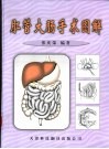 肛管大肠手术图解 封面