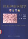 肝胆肿瘤病理学彩色图谱 封面