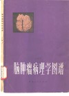 脑肿瘤病理学图谱 封面