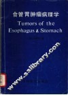 食管胃肿瘤病理学 封面