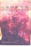 化学物质与癌 封面