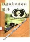 肿瘤放射治疗计划图谱 封面