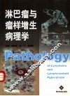 淋巴瘤与瘤样增生病理学 封面