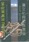 滇文化与民族审美 封面
