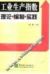 工业生产指数理论·编制·实践 封面