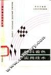 塑料着色实用技术 封面