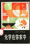 化学在你家中 封面