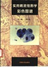 实用精液细胞学彩色图谱 封面