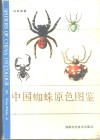 中国蜘蛛原色图鉴 封面