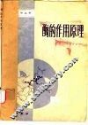 酶的作用原理 封面