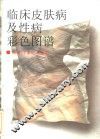 临床皮肤病及性病彩色图谱 封面