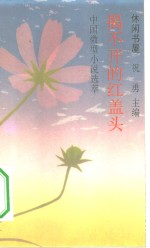 揭不开的红盖头  中国微型小说选萃 封面