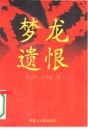 梦龙遗恨 封面