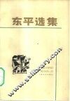 东平选集 封面