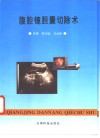 腹腔镜胆囊切除术 封面