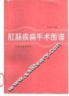 肛肠疾病手术图谱 封面