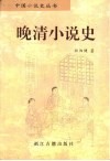 晚清小说史 封面
