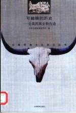 可触摸的历史  云南民族文物古迹 封面