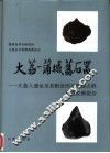 大荔-蒲城旧石器  大荔人遗址及其附近旧石器地点群调查发掘报告 封面