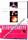 准分子激光屈光性角膜手术学 封面