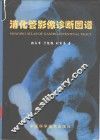 消化管影像诊断图谱 封面